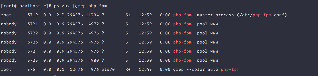 php-fpm process check