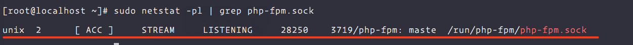 php-fpm status check