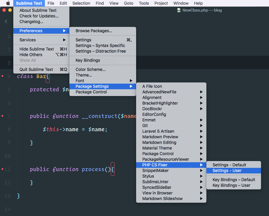 phpcs fixer User Setting Path